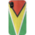 Guyana Flag Distressed iPhone X Pro Case